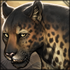 [Jaglion] Top Light